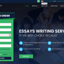 essayswritingservice.co.uk